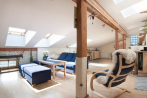 An awesome penthouse near the city center